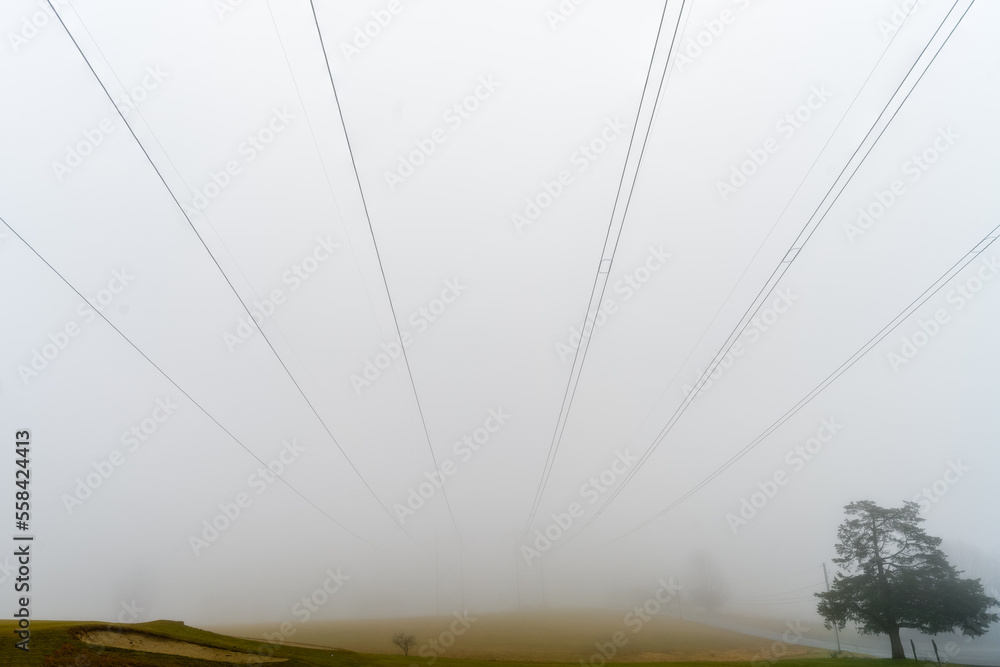 Foggy Power Lines