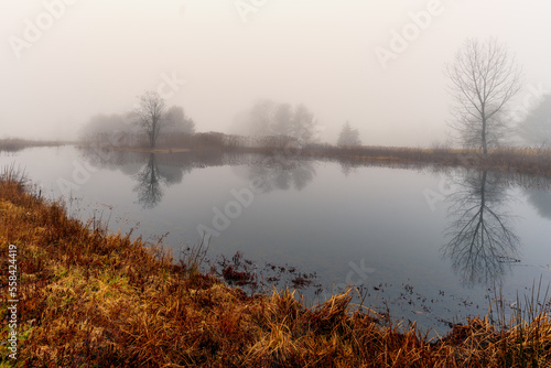 Fototapeta Naklejka Na Ścianę i Meble -  Foggy morning over a pond with reflections