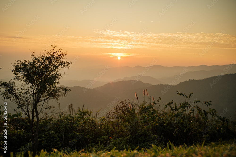 morning sunrise revealed misty layer landscape with trees and meadow as foreground Doi Kad Phi forest park Chiang Rai Thailand December 2022 morning sunrise revealed misty layer landscape with trees and meadow as foreground Doi Kad Phi forest park Chiang Rai Thailand December 2022