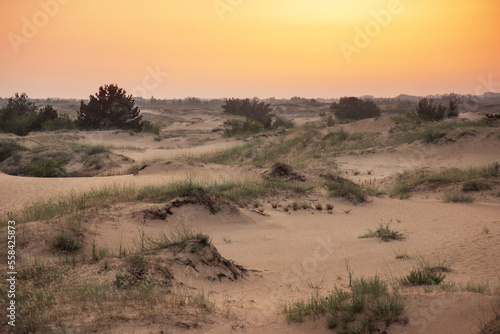 desert landscape at sunrise. summer background