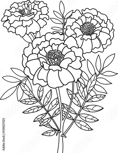 Outlined flower vector illustration, coloring page book for adults