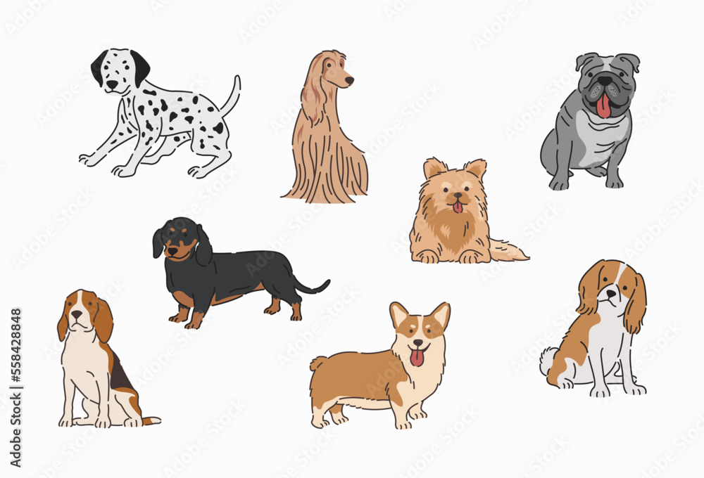 Fototapeta premium Dogs vector in flat design