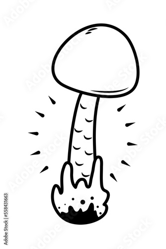 cep mushrooms icon