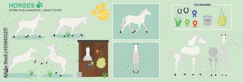 White Horse ready to animate with multiple poses accessories. Vector file labeled ready to rig. Horse riding, horse jumping, horses playing.