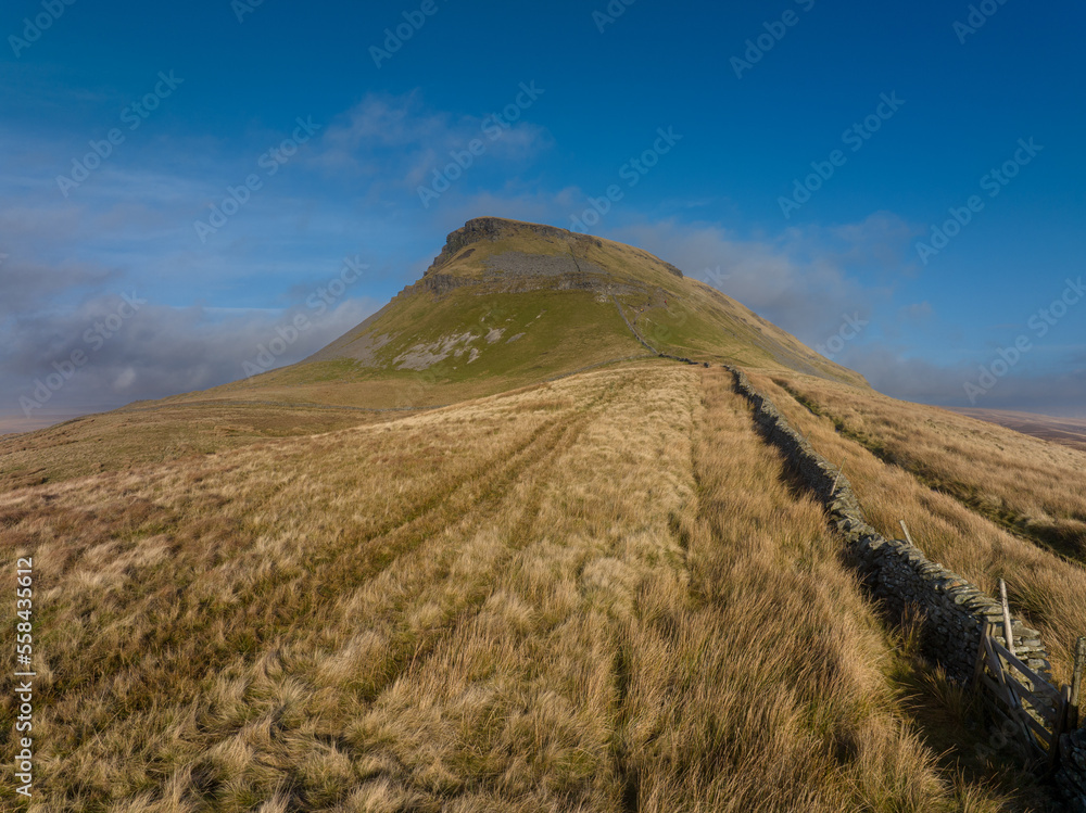 Obraz premium Penyghent lit by Winter Sun
