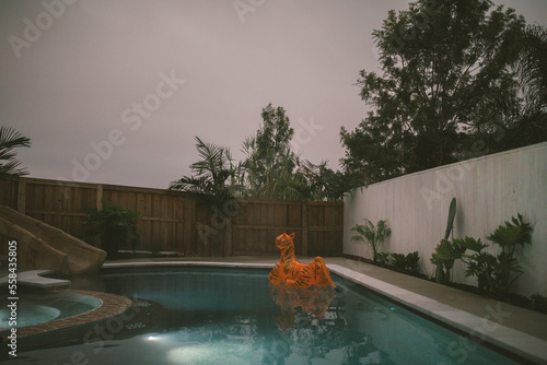 Tiger pool floaty sitting in pool on a cloudy day in California photo