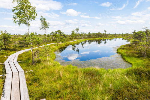 Great Kemeri Bog swamp at the Kemeri National Park in Latvia