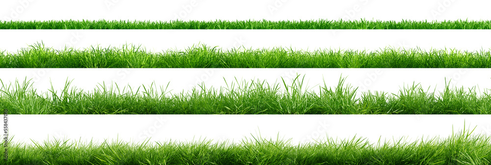Fototapeta premium Collection of green grass borders, seamless horizontally, isolated on white background. 3D render. 3D illustration.