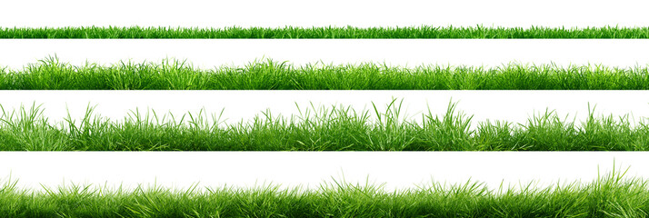 Collection of green grass borders, seamless horizontally, isolated on white background. 3D render. 3D illustration.