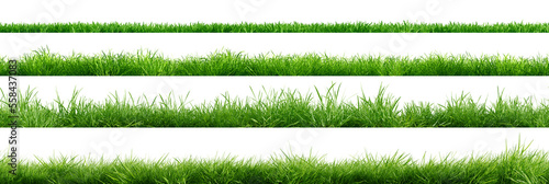 Fototapete Collection of green grass borders, seamless horizontally, isolated on white background