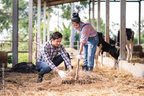 Asian young couple working together in small business dairy farm. Livestock and farm industry.