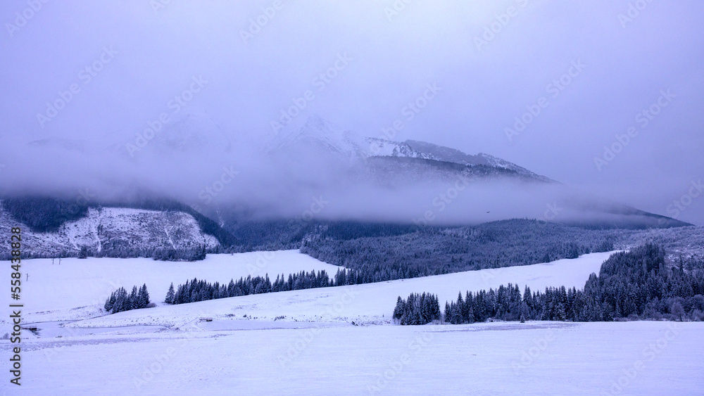 Obraz premium Winterlandschaft