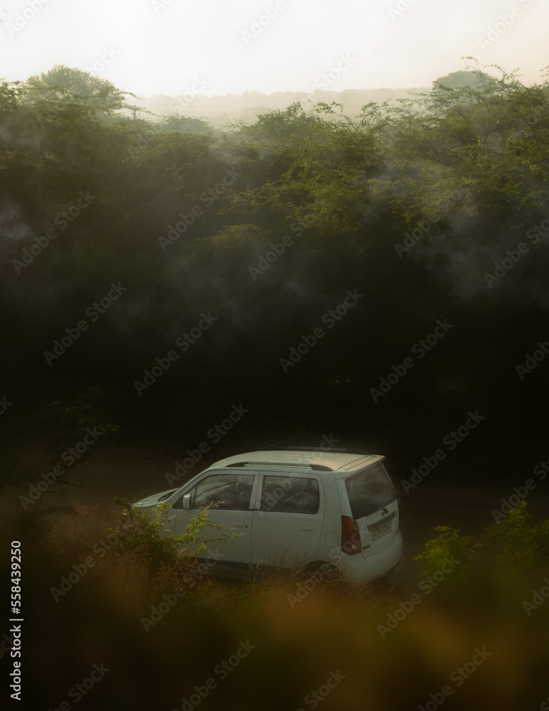Fototapeta premium car in the fog middle of a forest