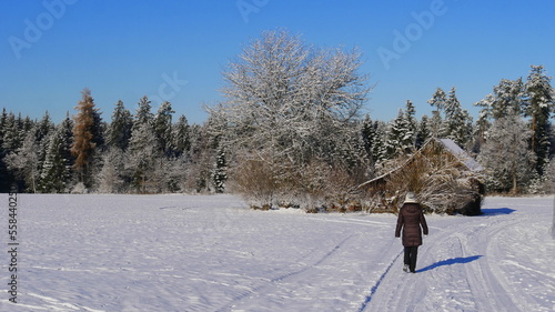 Frau geht in einer Winterlandschaft spazieren