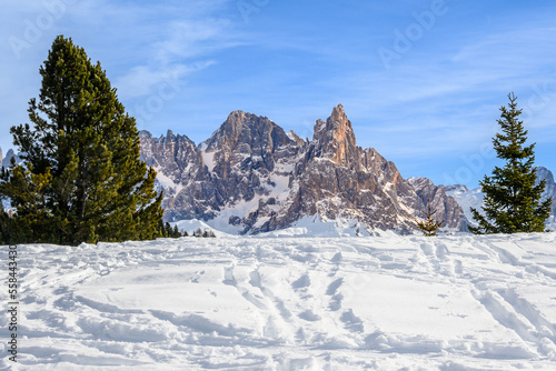 Dolomiti, Trentino Alto Adige, Pale di San Martino