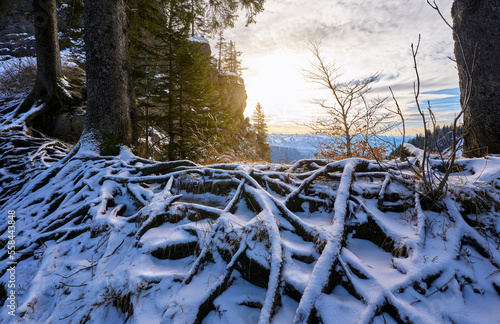 snowy root trail on a cold winterday in the Allgaeu alps near Oberstaufen, Bavaria, Germany photo