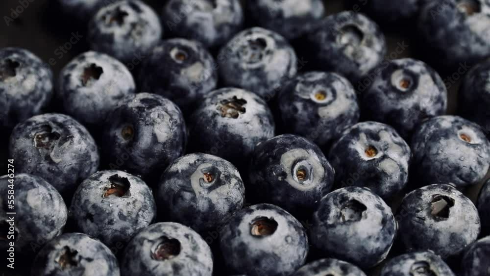 blueberries in a bowl blueberries in a bowl