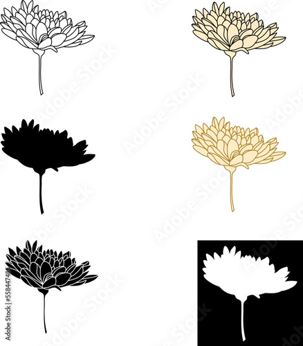 Chrysanthemum background. Chrysanthemums line art. Hand-drawn sketch, vector illustration. Flowers outline. vector illustration of chrysanthemum flowers. linear art and silhouette. Decorative eleme