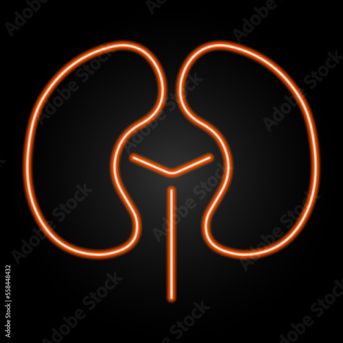 kidneys neon sign, modern glowing banner design, colorful modern design trends on black background. Vector illustration.