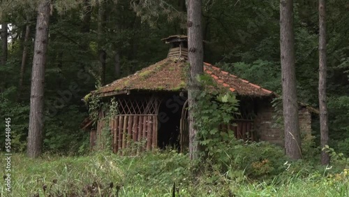 Old wooden house in the woods 