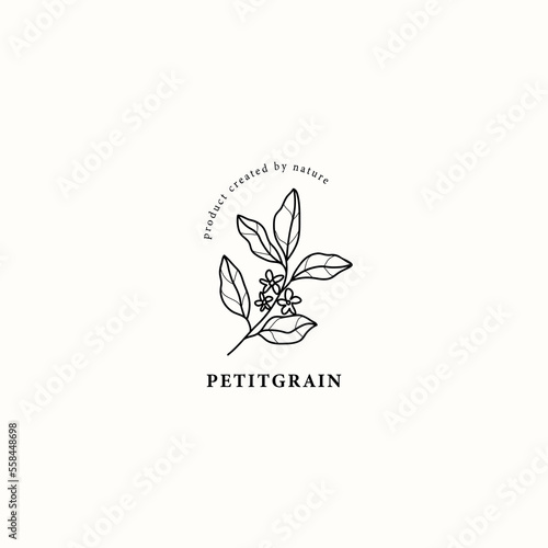 Line art petitgrain branch illustration