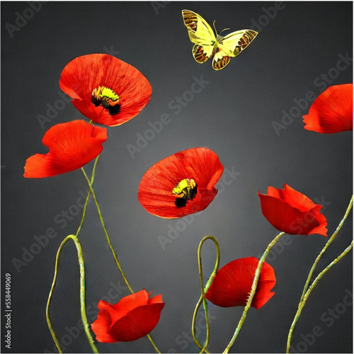 Hintergrund Klatschmohn