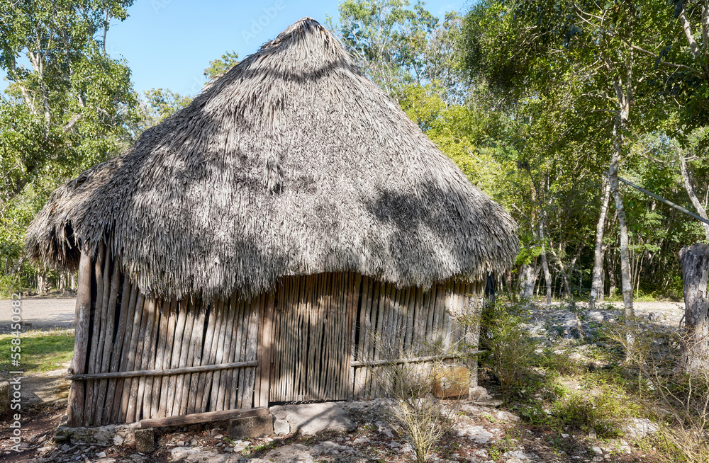 Picture of a Mexican jungle Mayan hut. Picture of a Mexican jungle Mayan hut.