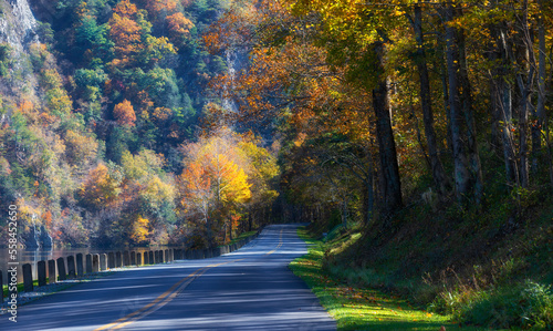 Cherokee National Forest along the Watauga River Valley in Tennessee, USA