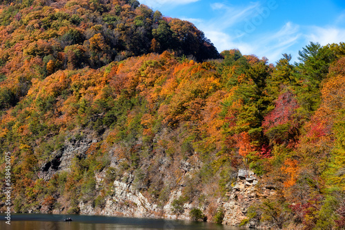 Cherokee National Forest along the Watauga River Valley in Tennessee, USA photo