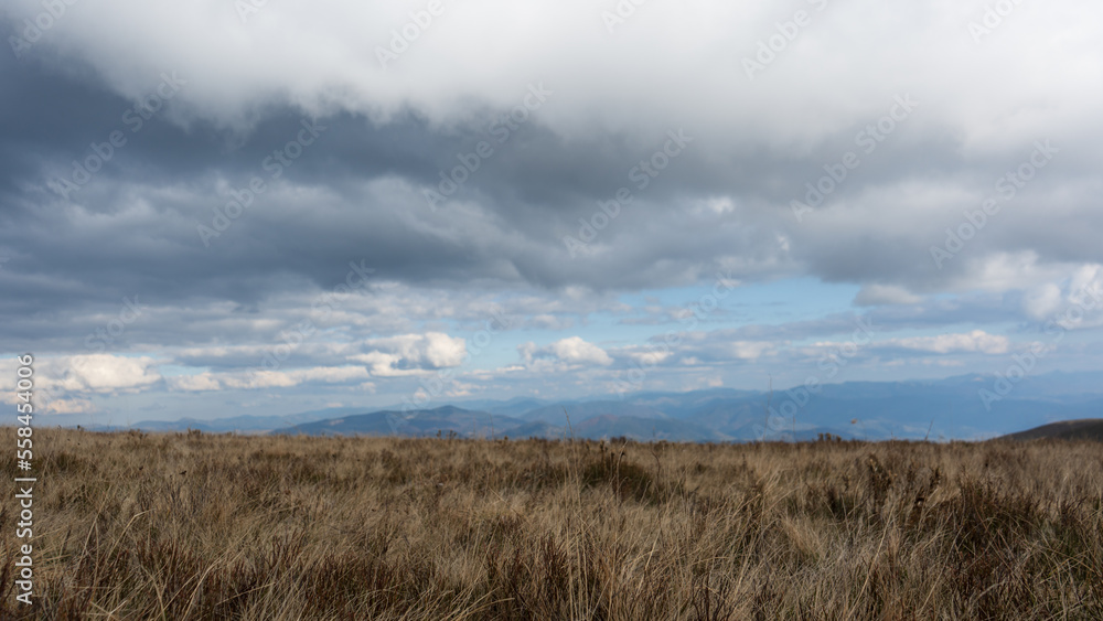 Beautiful view of the carpathian moun landscape with green meadows, trees, dark low clouds on the mountains in the background. travel destinations.