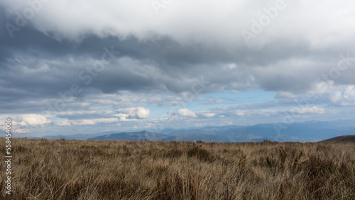 Beautiful view of the carpathian moun landscape with green meadows, trees, dark low clouds on the mountains in the background. travel destinations.