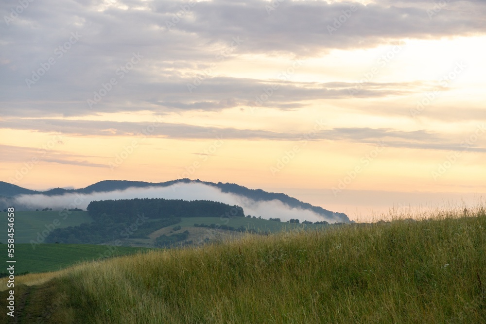 Mist in the forest. Sunrays behind the trees. Slovakia