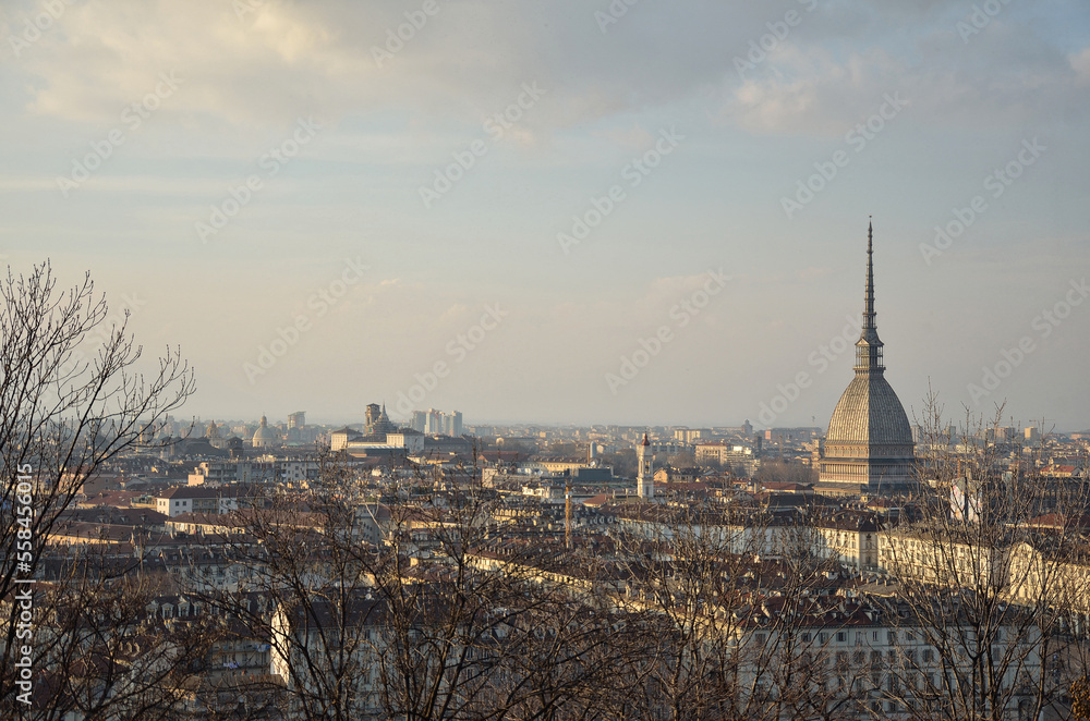 Panoramic view of the city of Turin with the Mole Antonelliana