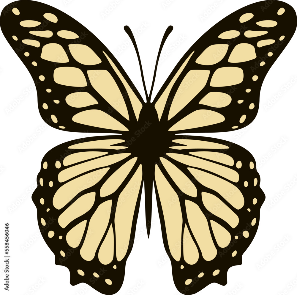 Design of butterfly draw Design of butterfly draw