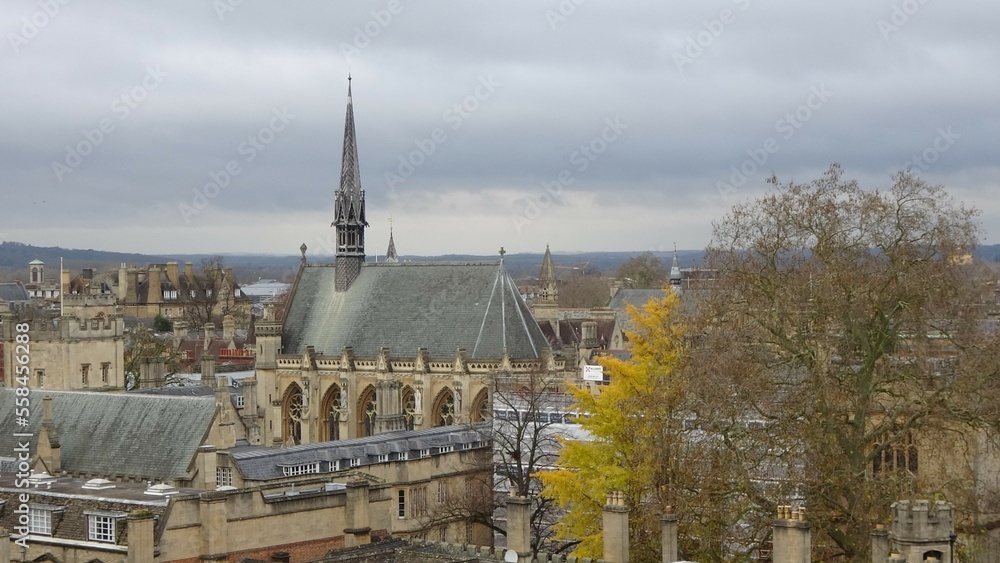 Fototapeta premium Cathedral