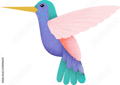 Color hummingbird. Little exotic bird textured feathers