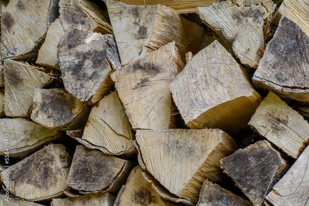 custom made wallpaper toronto digitalStos drewna opałowego leżący w lesie chrust na ognisko