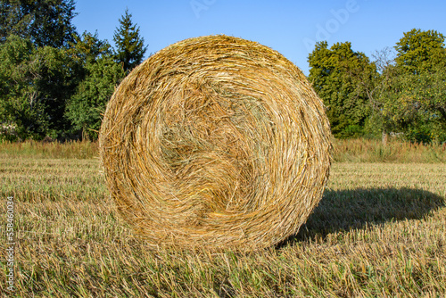 Jeden duży zwinięty balot słomy leżacy na polu po żniwach 