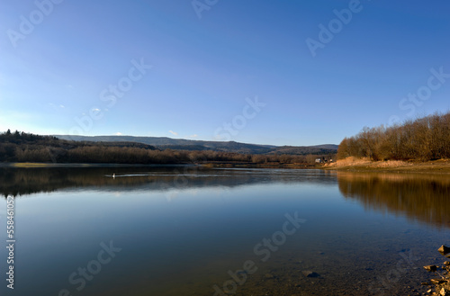 morning landscape of summer forest over the pond