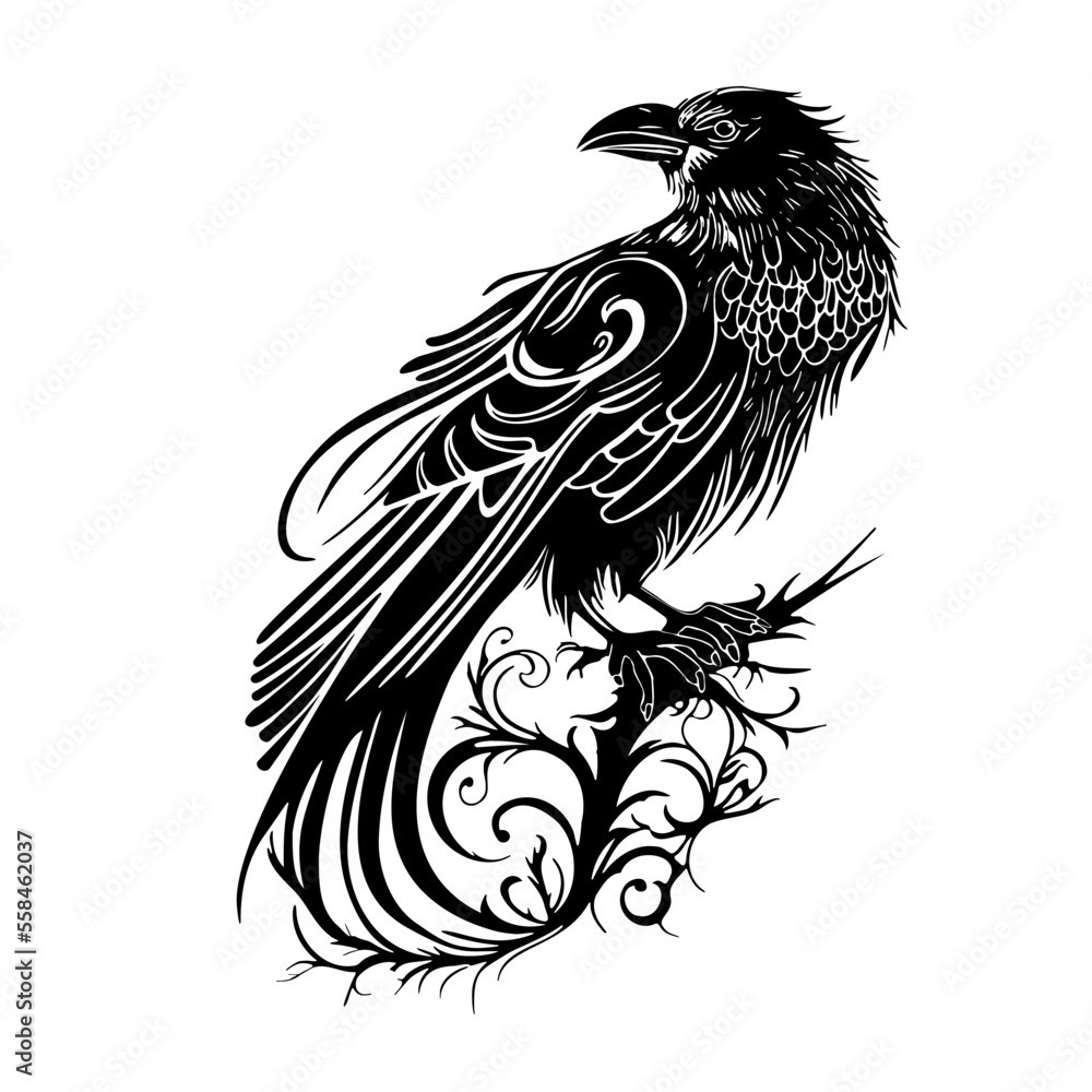 Fototapeta premium Long tail gothic Raven, hand drawn, low points, one color.