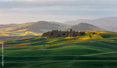 Photos Barley fields cover much of the rolling hills of the Palouse region of eastern Washington State