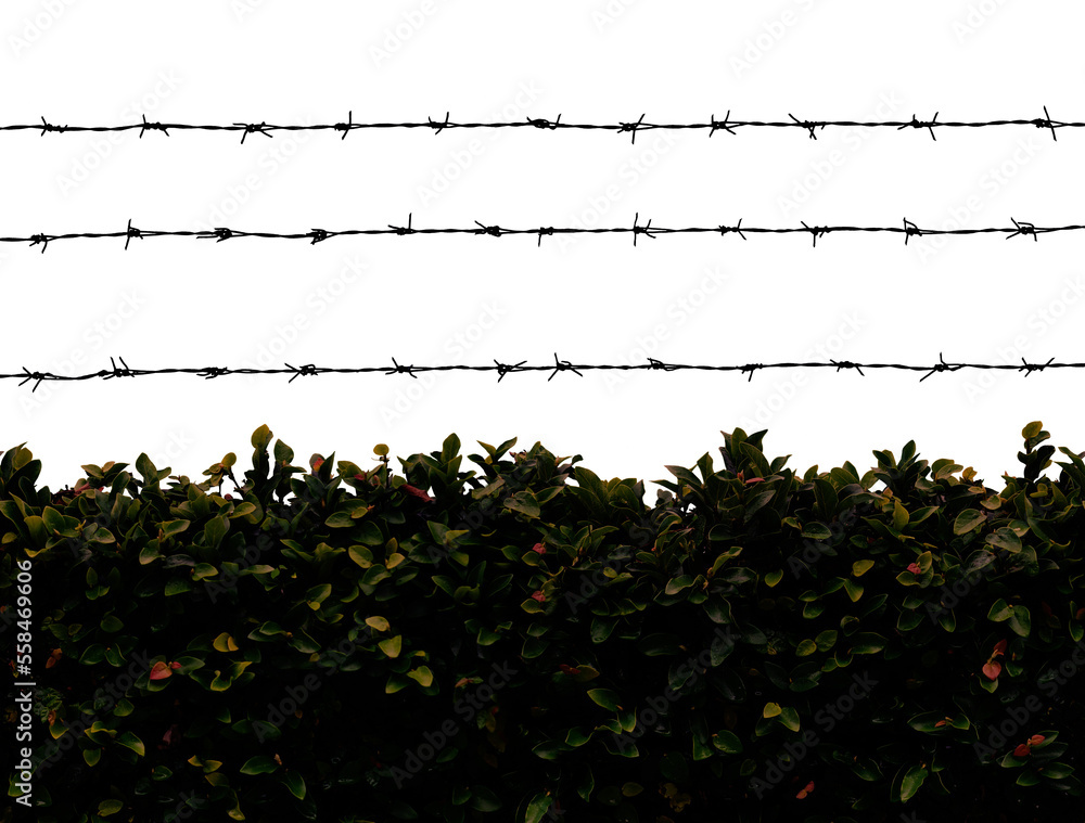 Dark barbed wire on transparent background. PNG file. - obrazy, fototapety, plakaty 