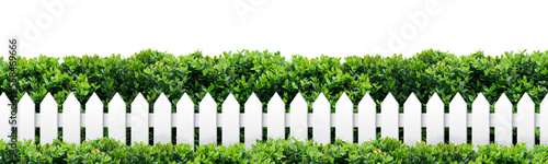 Photographie White fence and plant on transparent background. PNG file.