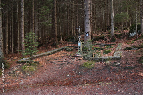 The ruins of the old Hauswald chapel at Sumava national park, Czech republic