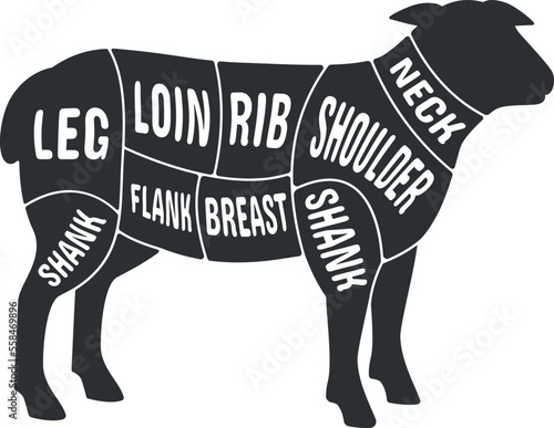 Lamb meat cut scheme. Butcher black diagram
