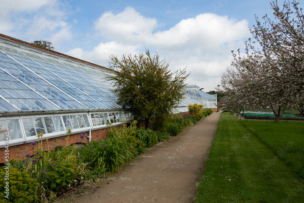 Obraz premium Victorian greenhouse