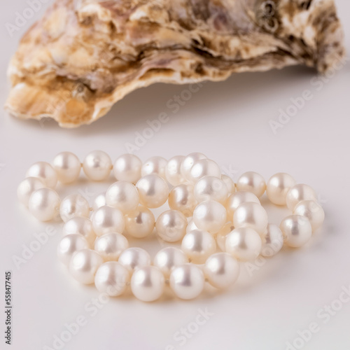 shell with pearls close-up in soft light colors