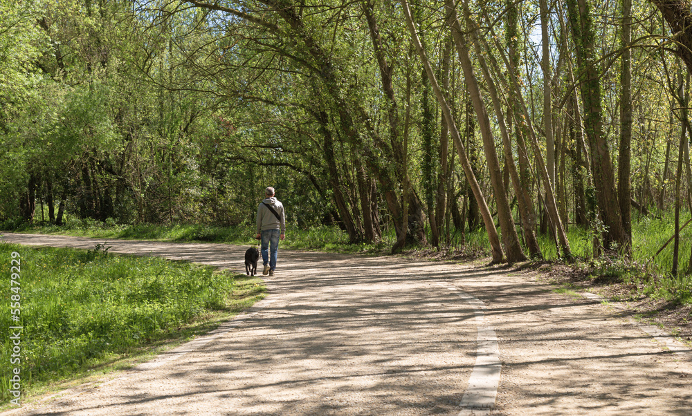 A blind man walking with his dog on a path surrounded by trees.
