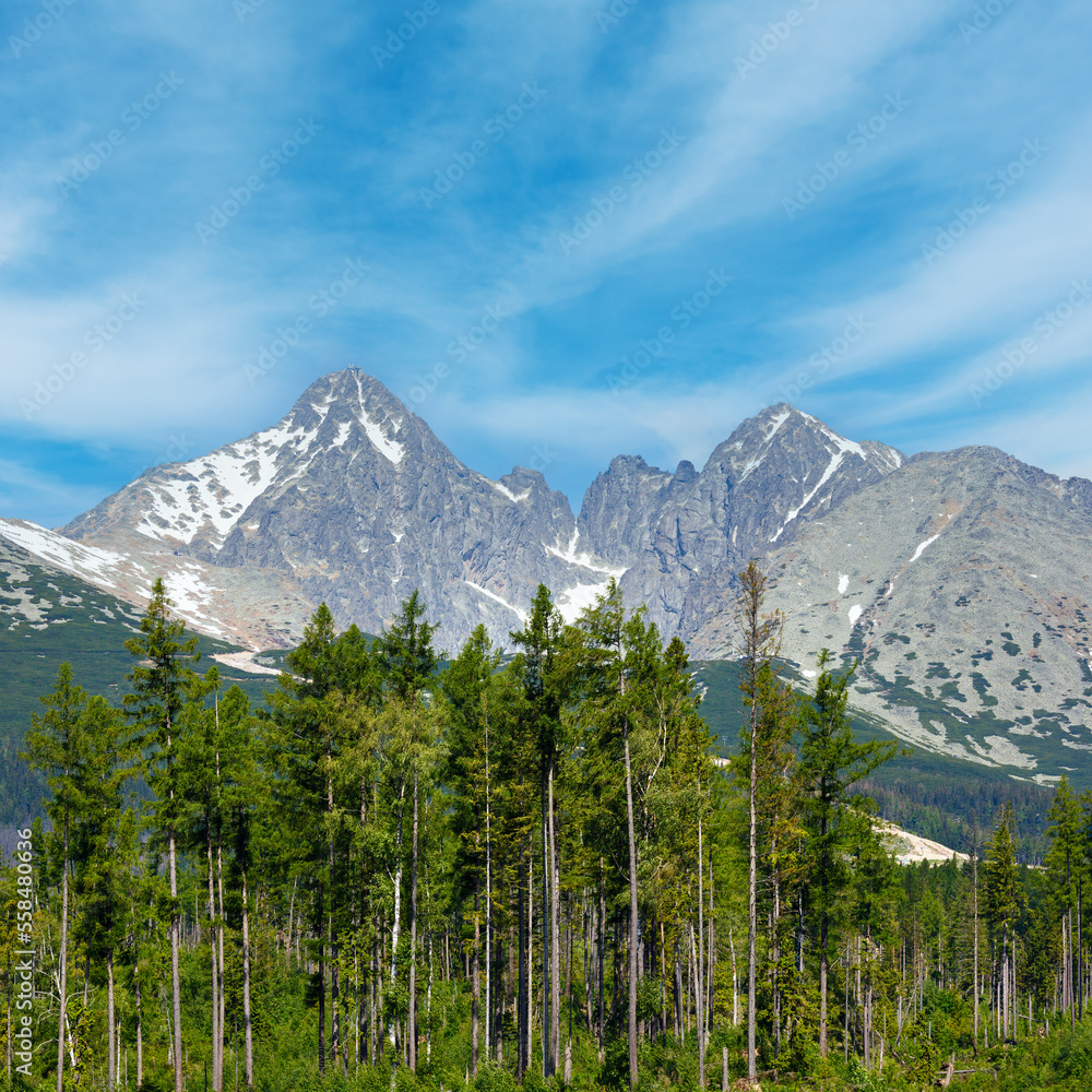 High Tatras (Slovakia) spring view. High Tatras (Slovakia) spring view.