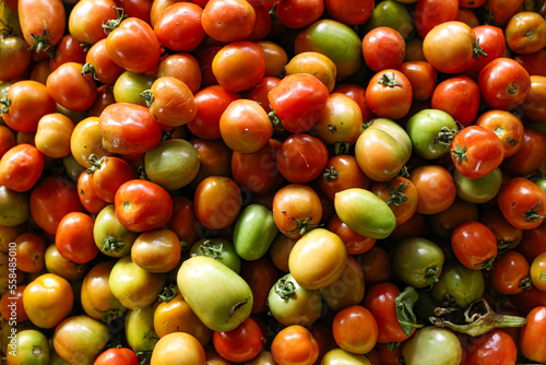 red and green tomatoes 